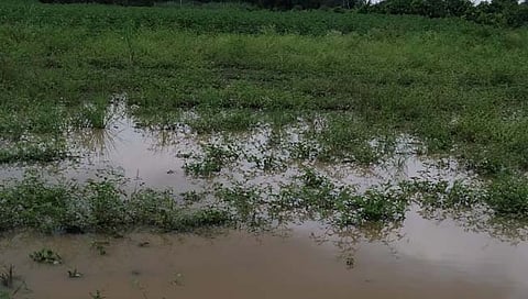 नाशिक  : देवळा तालुक्यात सलग दुसऱ्या दिवशी गारपीट