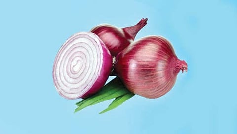 कांद्याच्या नियमित सेवनाने मधुमेहावर नियंत्रण ठेवणे शक्य, जाणून घ्या अधिक