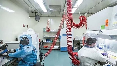 अमेरिकेतील प्रयोगशाळेत बनला खतरनाक ‘हायब्रीड कोरोना’!