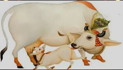 वसुबारस