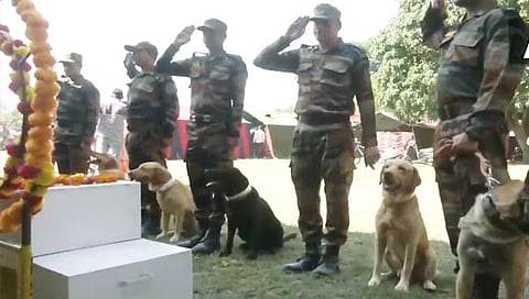 लष्करी श्वान ‘झुम’ला जवानांसह साथीदारांनी वाहिली आदरांजली; पाहा व्हिडिओ