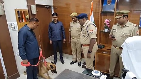 पोलिस डॉग ‘जॉनी’, 48 तासात ‘ब्लाइंड मर्डर मिस्ट्री’ सोडवणारा ‘हिरो’! UP Miner Murder Mistery