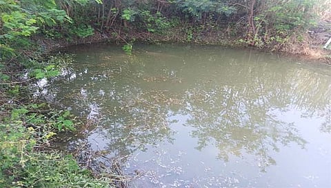 बीड: डोणगाव येथे विहिरीत बुडून विवाहितेचा मृत्यू