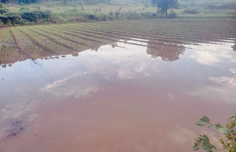 गर्भगिरी डोंगरावर ढगफुटी ; लागवड केलेला कांदा गेला पुरात वाहून