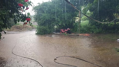 पावसाचा धुमाकूळ   