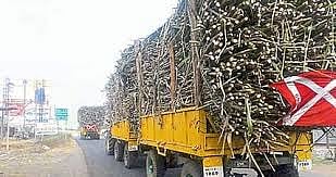 सुरक्षित ऊस वाहतुकीसाठी वाहनांवर रिफ्लेक्टर बसवा, साखर आयुक्त शेखर गायकवाड यांच्या सूचना