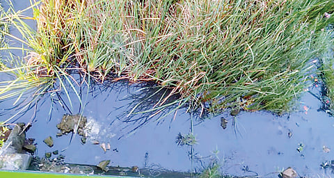 मोशी-तापकीरनगरमध्ये सांडपाण्याची समस्या गंभीर