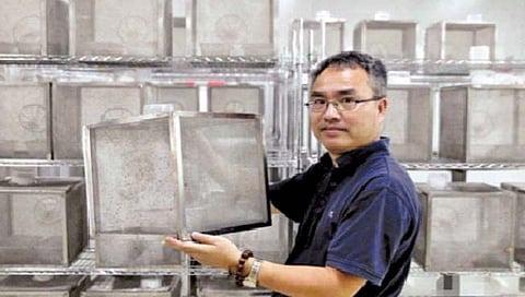 कारखान्यांमध्ये कोट्यवधी डासांची निर्मिती