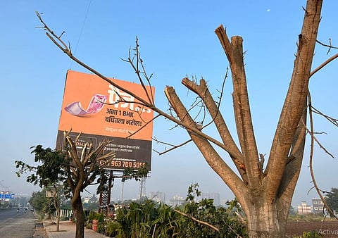 देहू-आळंदी बीआरटी रस्त्यावर मोशी भागात वृक्षांची अशी चोरून छाटणी केली जात आहे.