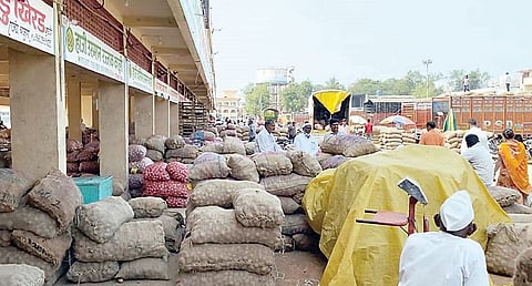 कांद्याच्या भावात आणखी घसरण! शेतकरी हवालदिल