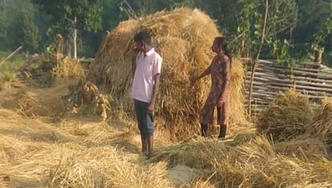 रानटी हत्तीचा हल्ला    