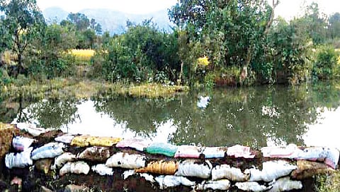 नाशिक : मालेगाव उपविभागात 1,040 वनराई बंधारे बांधण्याचे उद्दिष्ट