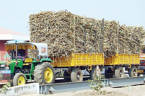 उसाचे वजन खासगी काट्यावर घेणार
