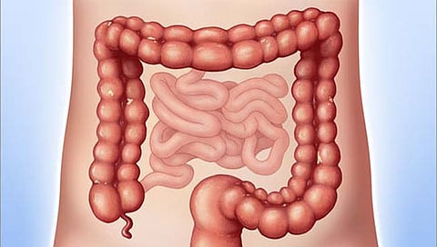 पोटाचे आरोग्य बिघडलय? आयुर्वेदिक उपचार जाणून घ्या