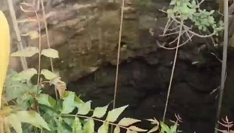 नाशिक : विहिरीत पडलेल्या ८० वर्षीय वृद्धास आपत्ती व्यवस्थापन पथकाने दिले जीवदान