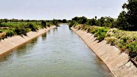 सांगली : होरपळीतून हिरवळीकडे; जतकरांच्या आशा पल्लवीत