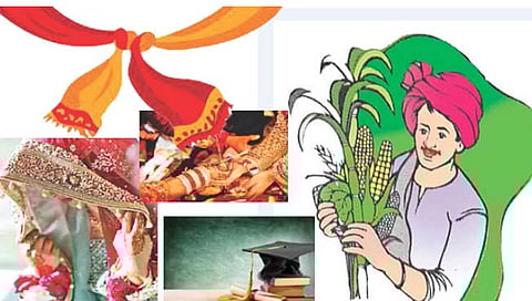 लातूर : शेतकरी नवरा नको गं बाई…