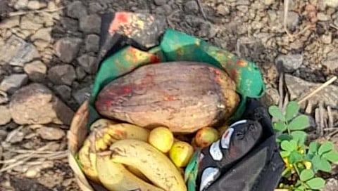 सांगली : वाळवा तालुक्यात निवडणुकीच्या पार्श्वभूमीवर भानामतीचे प्रकार