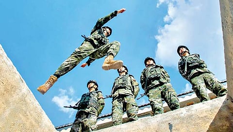 संरक्षण : धोका चिनी ‘सुपर सोल्जर्स’चा