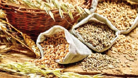 खाद्य सुरक्षा निश्चित करायला हवी