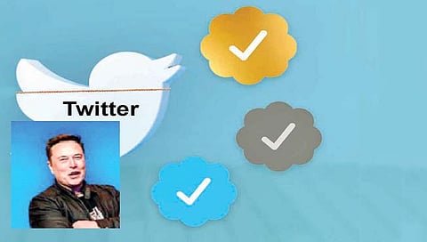 आता नव्या तीन रंगांत ट्विटर अकाऊंट