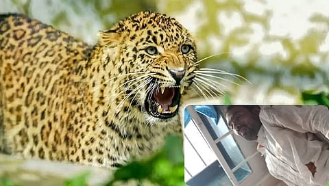  संंग्रहित फोटो