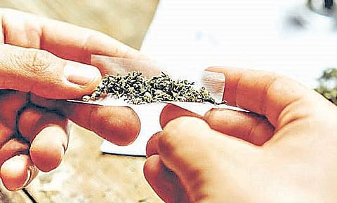 पुणे : गांजा तस्करी; नगरच्या दोघांना पकडले