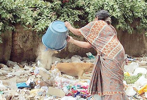 पिंपरी : कुठेही टाकला जातोय घातक कचरा