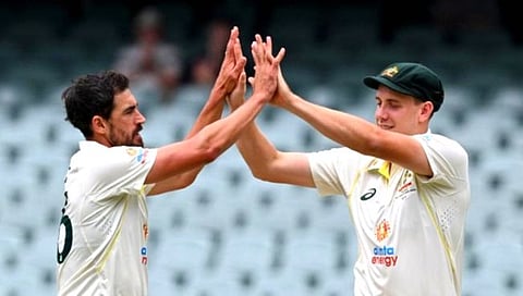 IND vs AUS Test : मिचेल स्टार्क, कॅमेरून ग्रीन भारताविरूध्दच्या मालिकेला मुकणार