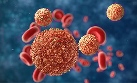 मोठी बातमी ! पुण्यात झिकाचा रुग्ण आढळला, ६७ वर्षीय पुरुषाला लागण