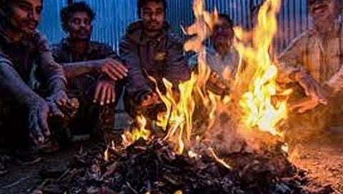 Nashik cold : थंडीचा जोर वाढला, निफाडचा पारा ९.१ अंशांवर