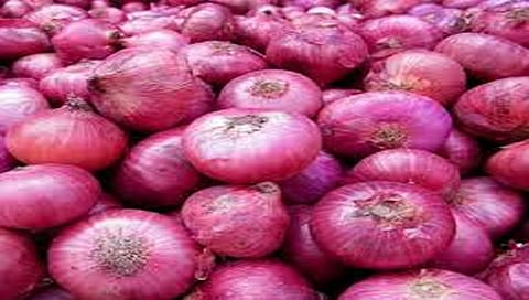 825 किलो कांदा विकला अन् पदरचाच रुपया द्यावा लागला व्यापार्‍याला; कवडीमोल दरामुळे शेतकऱ्याच्या डोळ्यात अश्रू