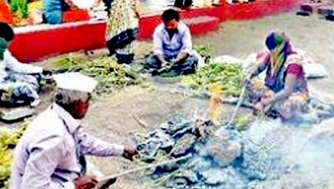 सोलापुरी हुरड्याची चवच न्यारी; ज्वारी पीक बहरल्यामुळे हुरडा पार्टीस वेग