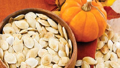 Pumpkin seeds 