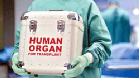 Human Organ Donation : हृदयापासून हाडांपर्यंत… तिने सगळेच दान केले