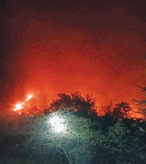 बोरीबेल हद्दीत वन विभागाला लागलेली आग.