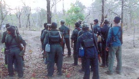 गडचिरोली : सशस्त्र नक्षल्यांची वनकर्मचाऱ्यांना मारहाण; चार मोटारसायकली जाळल्या