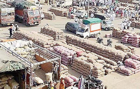 चाकणला 21 हजार 500 पिशवी कांद्याची आवक