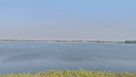 सांगली : लिंगनूर तलावात पन्नास टक्के पाणीसाठा शिल्लक