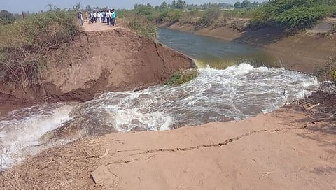 ब्रेकिंग न्यूज : उजनी डावा कालवा फूटला; शेतीचे प्रचंड नुकसान; द्राक्ष, डाळिंब, ऊस आणि इतर पिके गेली वाहून