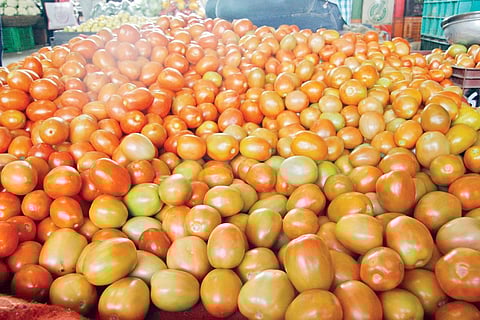 पुणे : टोमॅटो, काकडी, फ्लॉवर स्वस्त; फळभाज्यांची आवक स्थिर