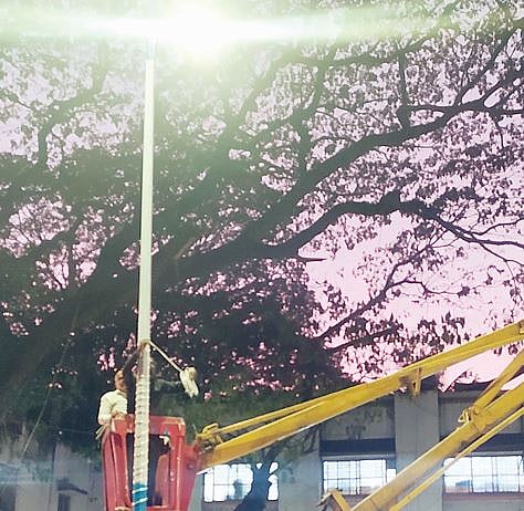 पुणे : कृत्रिम झाडे ठेकेदारांनीच उभारली! शहर सजावटीसाठी सीएसआर निधी वापरलाच नसल्याचे उघड