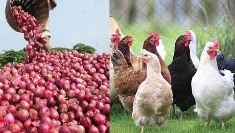 Philippines : कांदा महाग, कोंबडी स्वस्त; तस्करी वाढली, वाढली गस्त