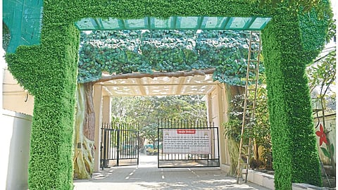 पिंपरी : बहिणाबाई प्राणिसंग्रहालयात वर्षभरात सात मोर, एका मगरीचा मृत्यू