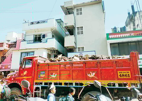 पिंपरी : स्पायसर कॉलेज रस्त्यावर कोेंडी, नागरिक हैराण