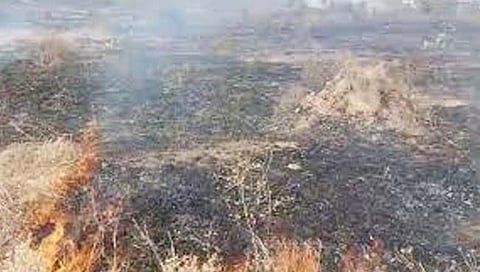 कोल्हापूर : ठिकपूर्ली येथील माळावर आग लागल्याने लाखो रूपयांचे नुकसान