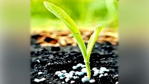 खतांच्या किमती वाढल्या; बळीराजाचे आर्थिक गणित कोलमडले