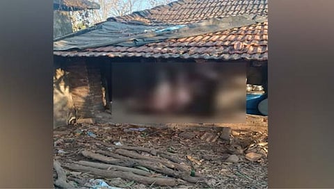 रायगड : गोवंशाची कत्तल करणाऱ्या तिघा आरोपींना पोलिसांनी ठोकल्या बेड्या