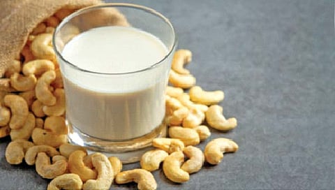 काजूचे दूध ठरते आरोग्यदायी!