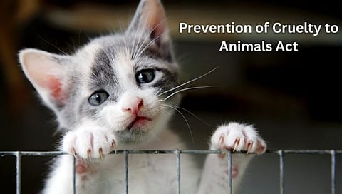 सांगली : प्राणीक्लेष प्रतिबंधक कायद्याची जागृती करा; जिल्हाधिकारी डॉ. राजा दयानिधी यांचे आवाहन